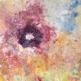 ‘UNTITLED GARDEN’ BY BRIAN MESSINA (2017)