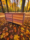 DIMINUTIVE MAHOGANY WINDOW CABINET BY HUNGERFORD FURNITURE, CO.