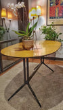 ITALIAN TRESTLE DINING TABLE OF TUBULAR STEEL AND LAMINATE ON PLYWOOD
